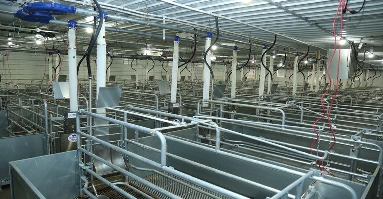 farrowing rooms